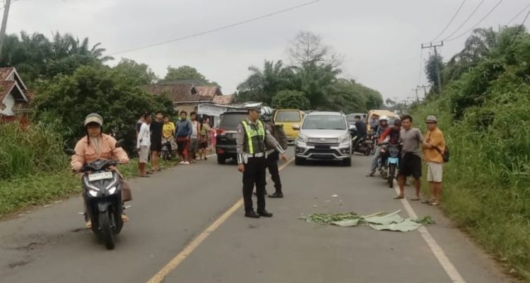 Lakalantas di Jalinsum Simpang Gegas Temuan, Satlantas Polres Musi Rawas Sigap Olah TKP